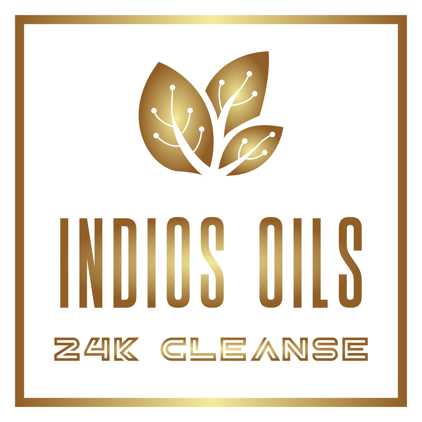24K Cleanse